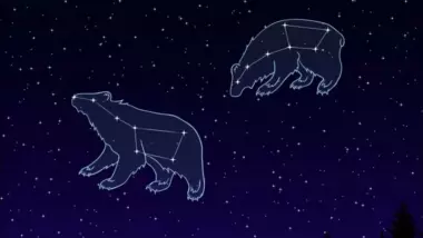 Почему Большая Медведица вращается вокруг Полярной звезды? Есть какая-то магическая связь?