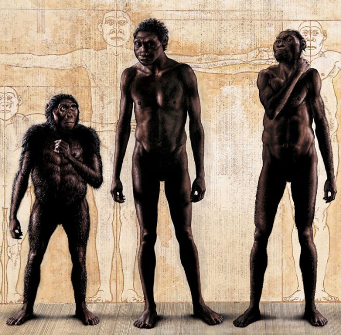 Homo naledi