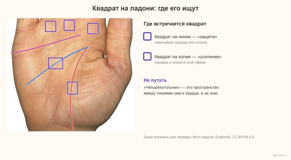 Квадрат на ладони: на линиях жизни и ума и на холмах Юпитера, Сатурна и Аполлона
