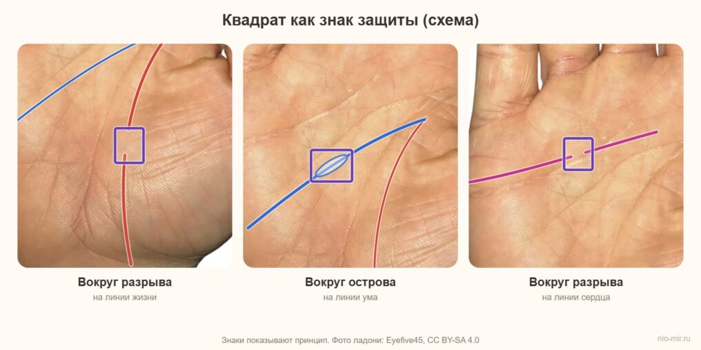 Квадрат вокруг разрыва на линии жизни, острова на линии ума и разрыва на линии сердца