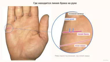 Линия брака на руке: где находится, на какой руке смотреть и сколько будет браков