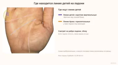 Линия детей на руке: где находится и как посчитать, сколько будет детей