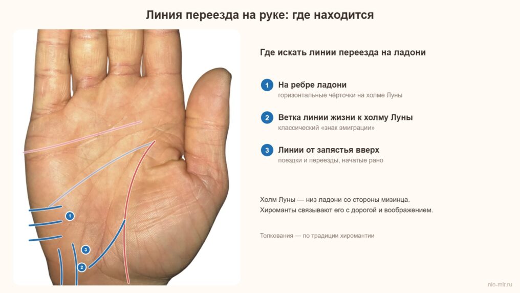 Линия переезда на руке: где находится — фото с расшифровкой