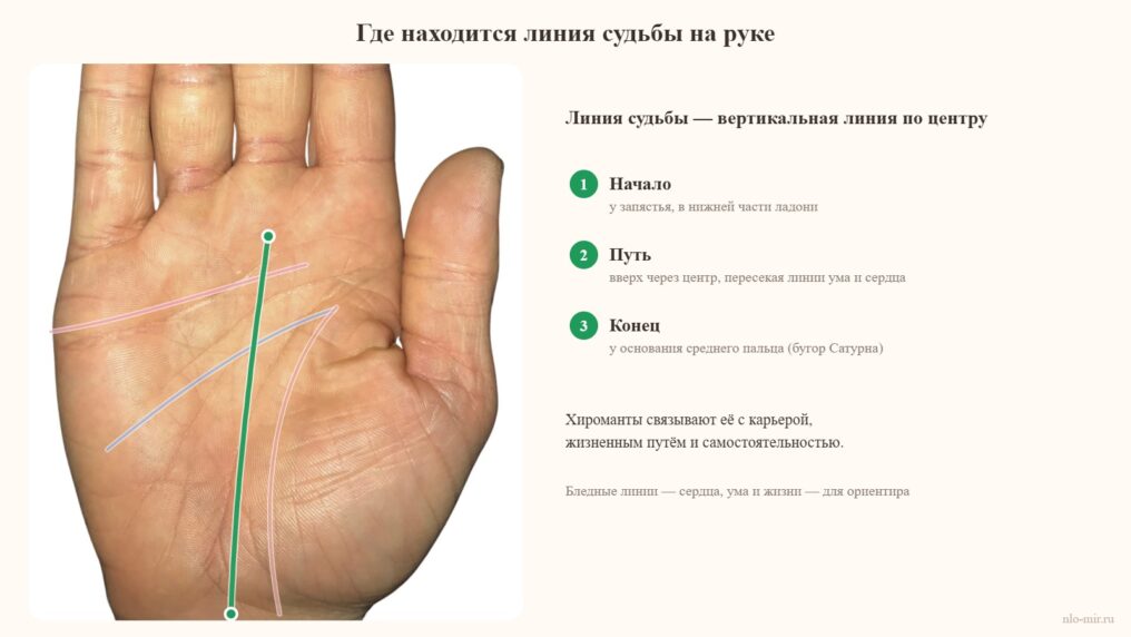 Где находится линия судьбы на руке: фото с расшифровкой