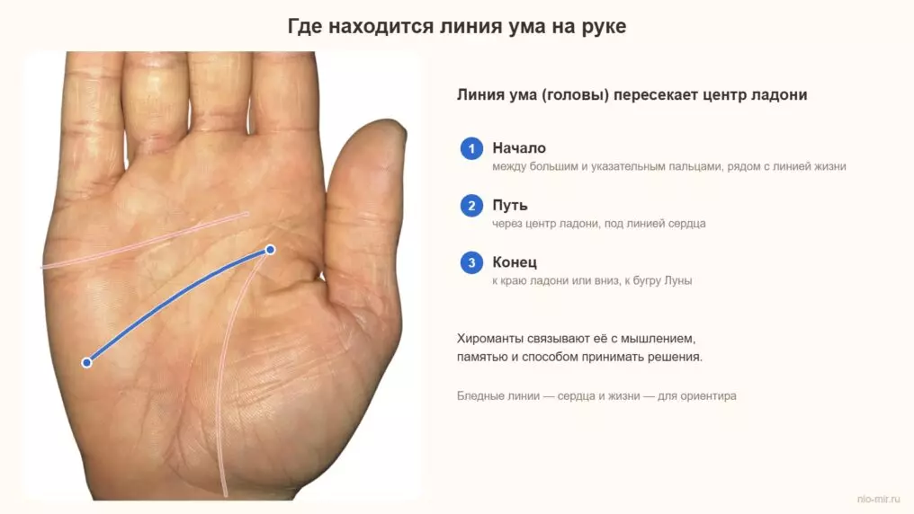 Линия ума на руке: где находится, что значат её форма, раздвоение и знаки