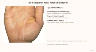 Холм Марса на ладони: верхний, нижний Марс и равнина Марса — значение и знаки