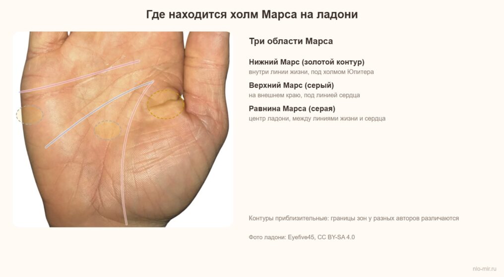 Где находится холм Марса на ладони: нижний и верхний Марс и равнина Марса