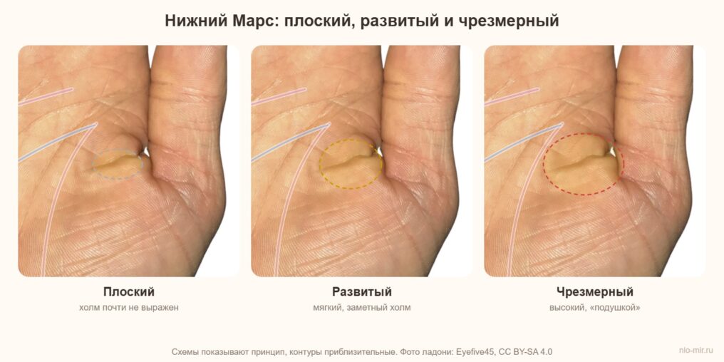 Нижний холм Марса на ладони: плоский, развитый и чрезмерный
