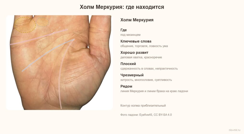 Холм Меркурия на ладони: где находится, что значит и какие знаки на нём бывают