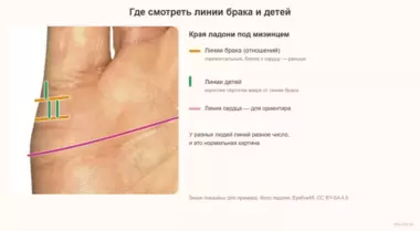 Разное число линий брака и детей у мужчины и женщины в паре: что это значит и что делать