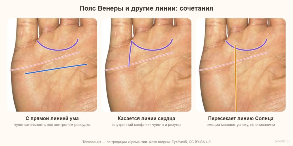Пояс Венеры в сочетании с прямой линией ума, линией сердца и линией Солнца