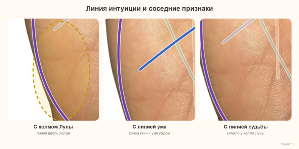 Линия интуиции в сочетании с холмом Луны, линией ума и линией судьбы
