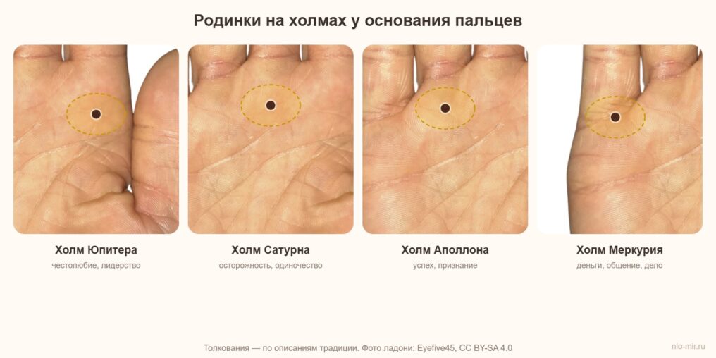 Родинка на холмах Юпитера, Сатурна, Аполлона и Меркурия на ладони